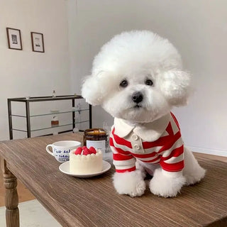 Dog Clothes Schnauzer Teddy York Shire Polo Shirt Summer Dress Striped Pet T-Shirt Dog Costume Soft Pullover Suit for Dog Puppy